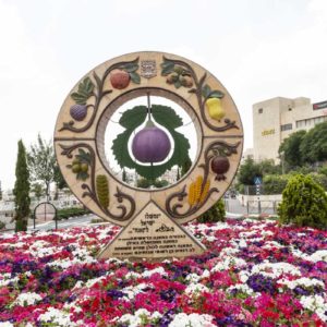 כיכר התאנה